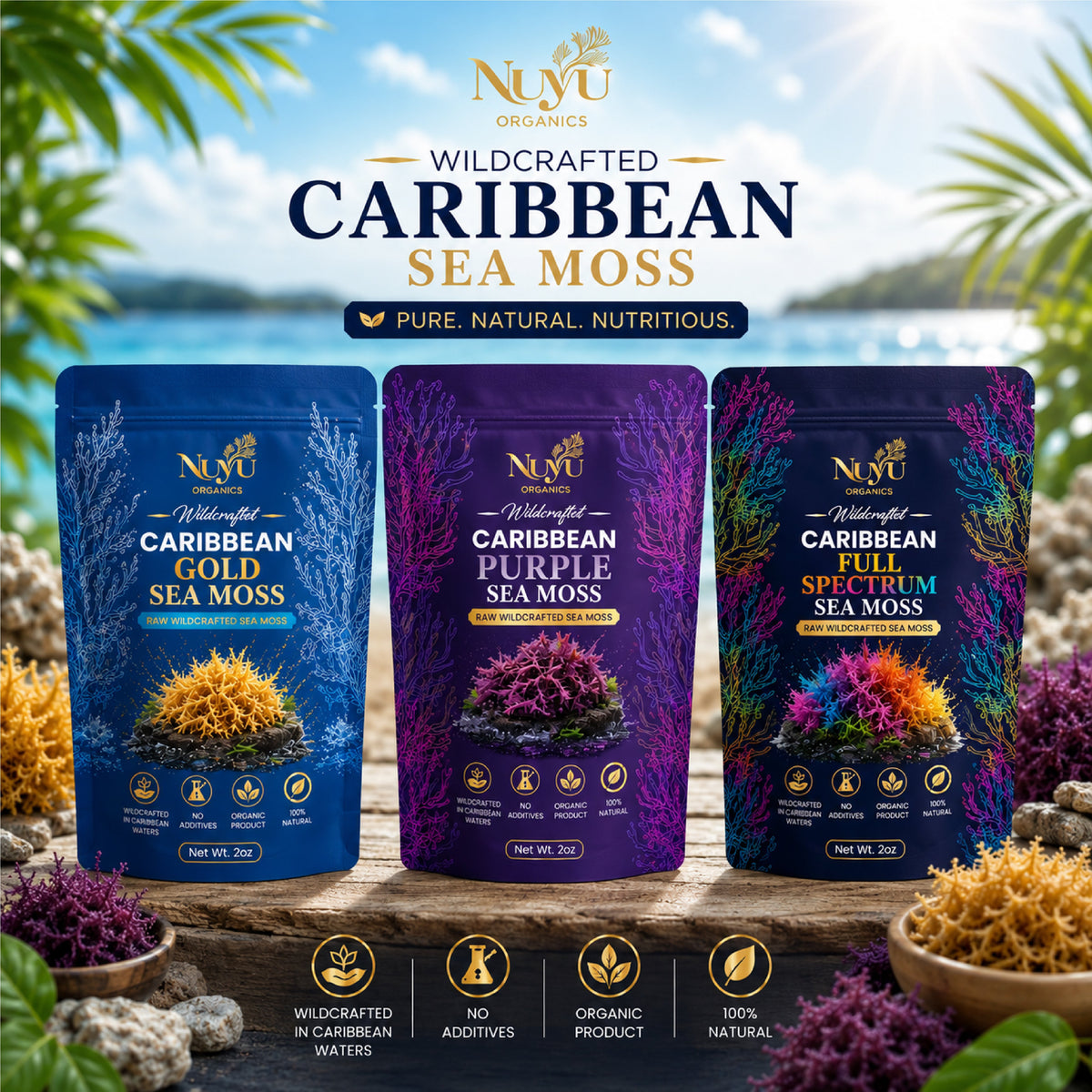 Raw Sea Moss Collection