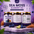 NuYu Organics Blueberry Sea Moss Gel Fruit Infused | Organic Blueberry, Monk Fruit, Vegan