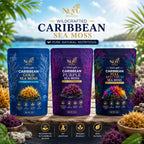 NuYu Organics Wildcrafted Gold Sea Moss Raw | St. Lucia Grown, 92 Minerals, Vegan